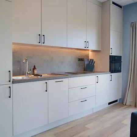 公寓式酒店 Horten Apartment